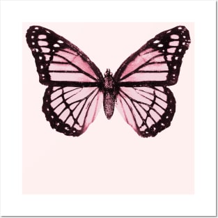 Monarch Butterfly Pink Dream Posters and Art